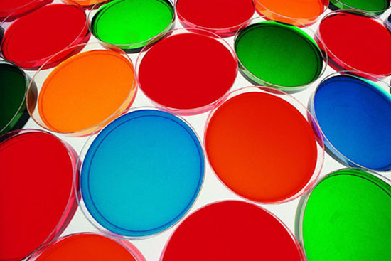 1444098715114635.jpg 658552_5.jpg