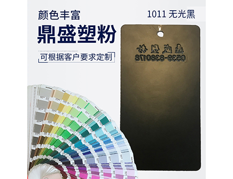 1011无光黑